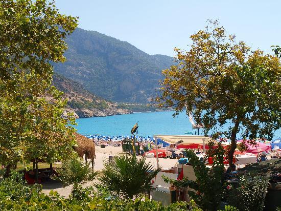 Buzz Grill & Seafood